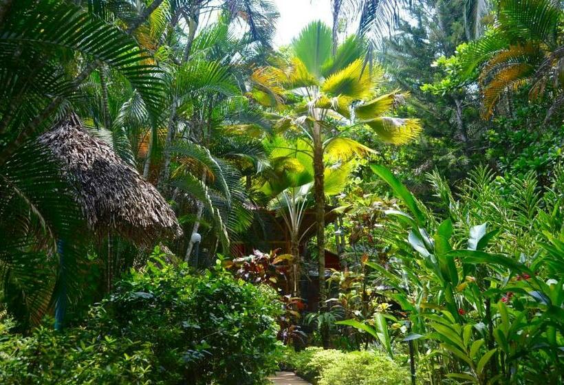 Family Suite, Amanwana Ecofinca