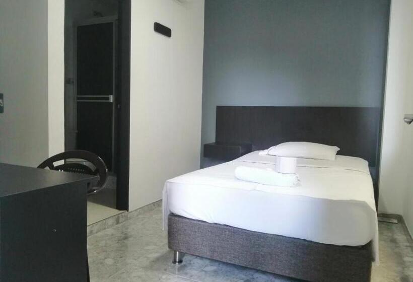 标准单人间, Bucare