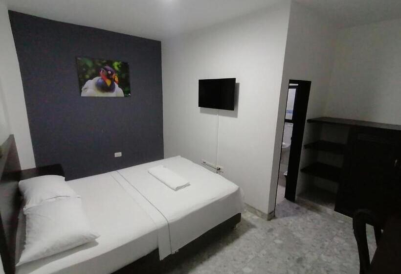 标准单人间, Bucare