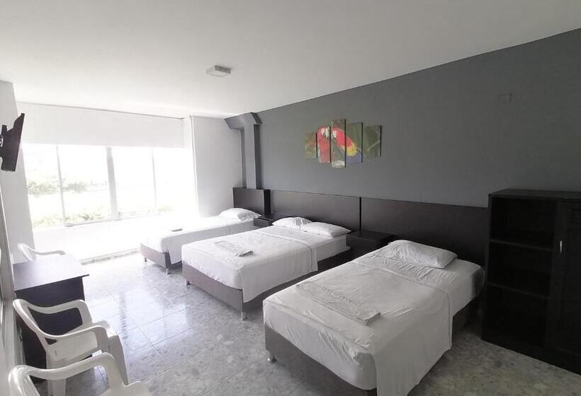 四人标准间, Bucare