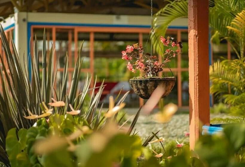 חדר סופריור, Campestre Tacurrumbi