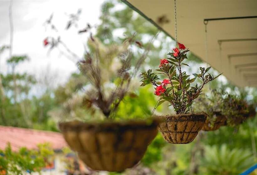 חדר סטנדרט, Campestre Tacurrumbi