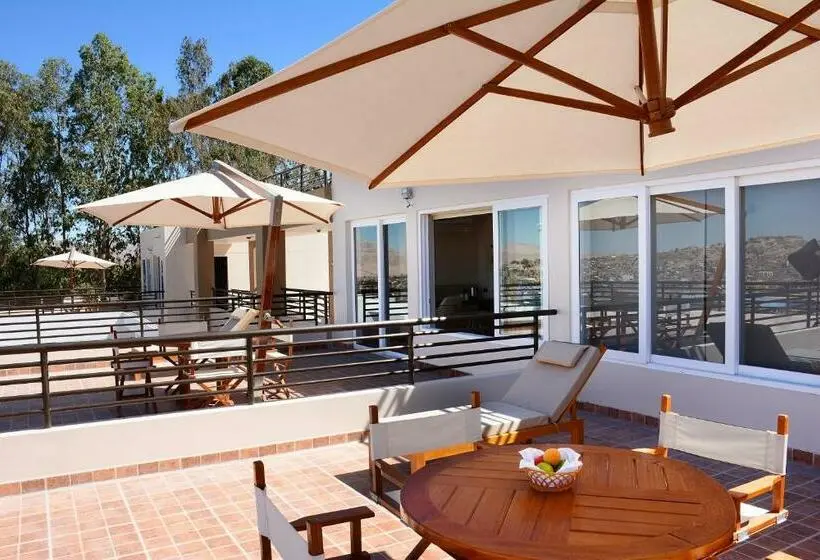 Juniorsviitti, Dm Hoteles Moquegua