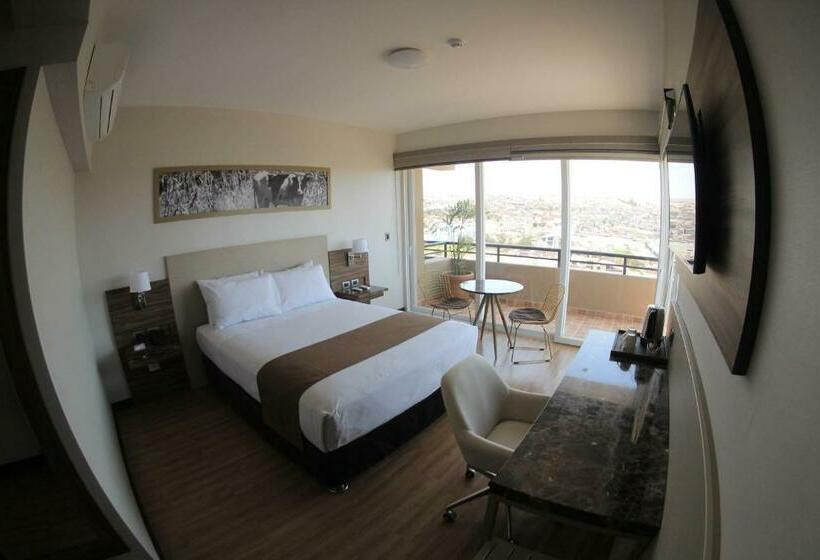 اتاق استاندارد یک نفره, Dm Hoteles Moquegua