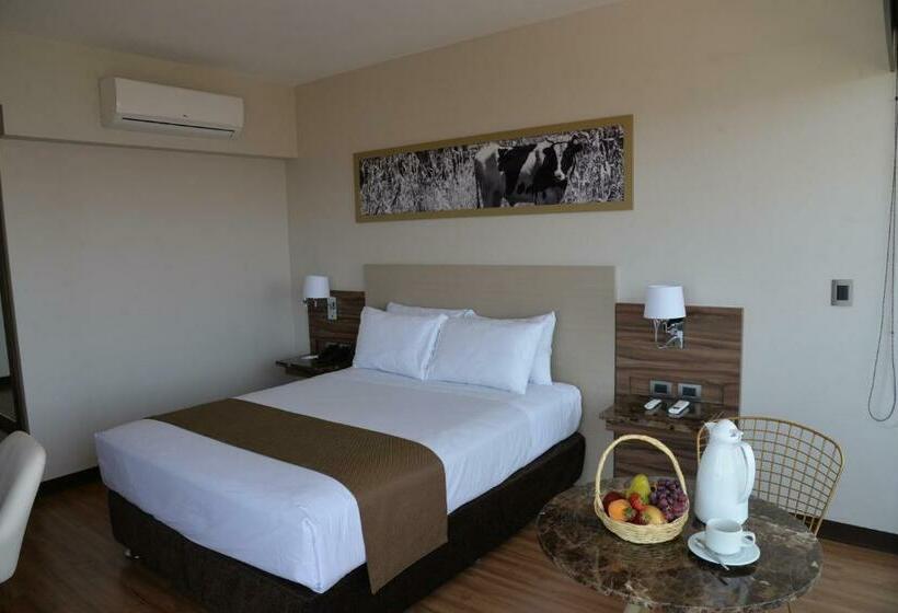 اتاق استاندارد یک نفره, Dm Hoteles Moquegua