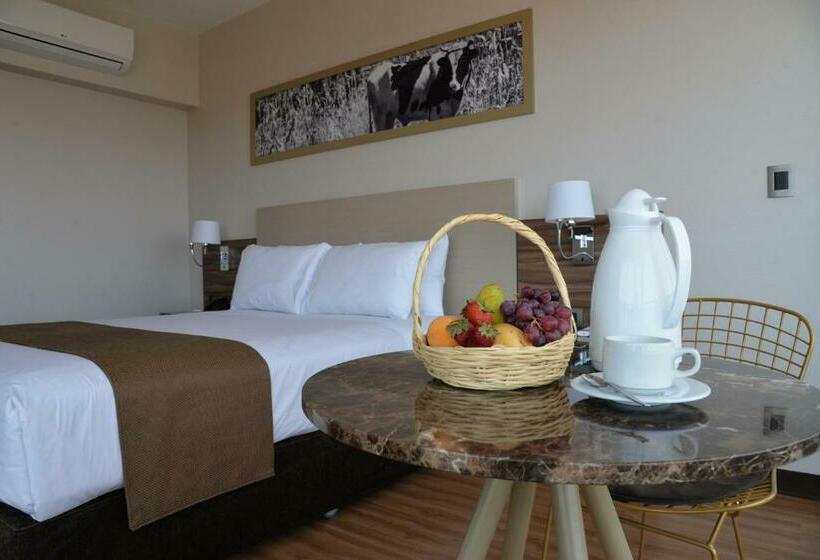 اتاق استاندارد یک نفره, Dm Hoteles Moquegua