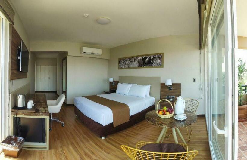 اتاق استاندارد, Dm Hoteles Moquegua