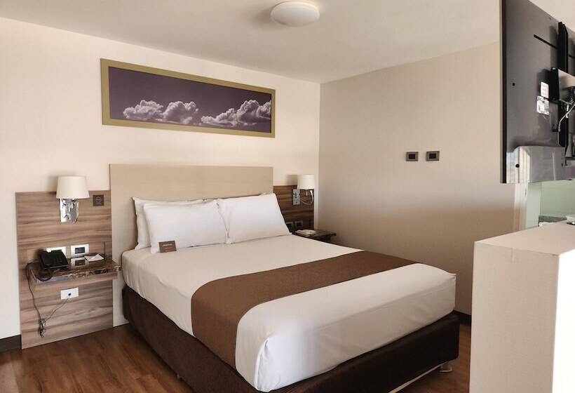 주니어 스위트, Dm Hoteles Moquegua