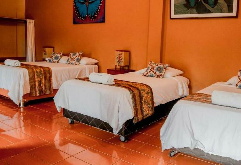 سوییت جونیور با بالکن, La Patarashca