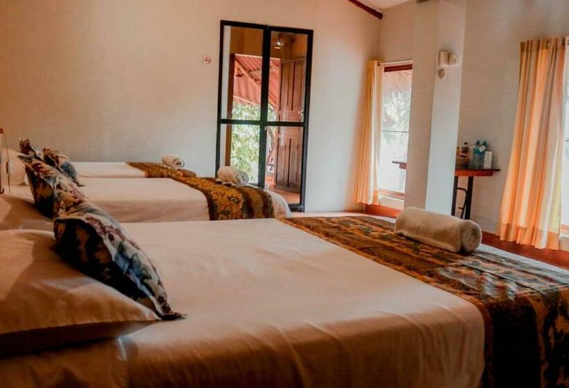 سوییت جونیور با بالکن, La Patarashca