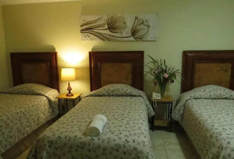 اتاق سوپریور سه تخته, Las Flores