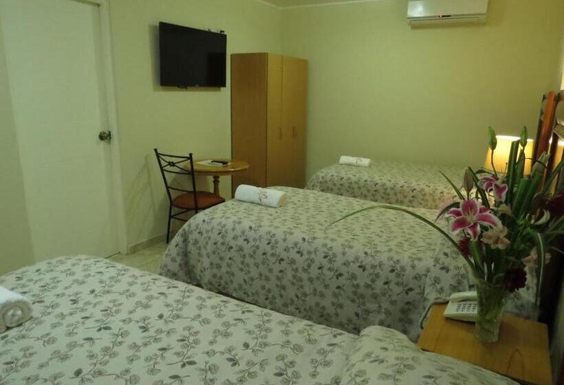 اتاق سوپریور سه تخته, Las Flores