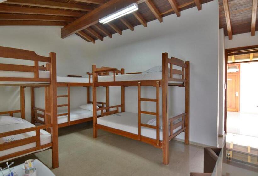 ファミリールーム, Monarca