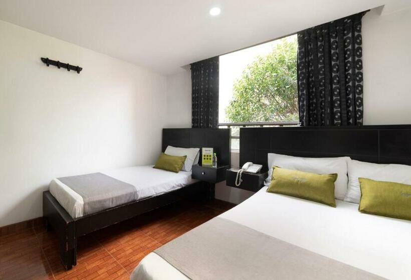 标准三人间, Dorado 100