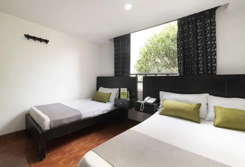 اتاق استاندارد, Dorado 100