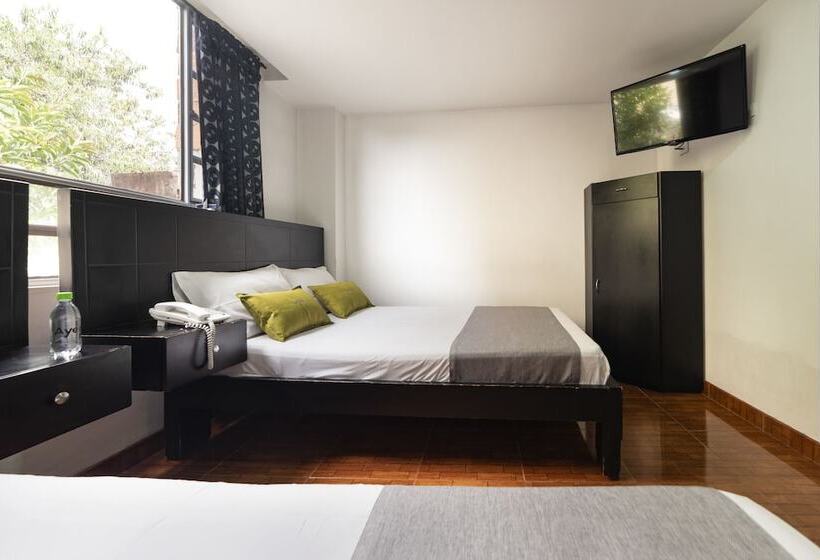 标准三人间, Dorado 100