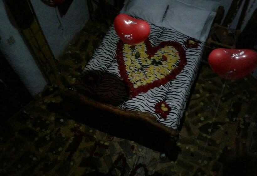 スタンダードルーム, Casa Tarzan