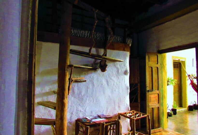 スタンダードルーム, Casa Tarzan