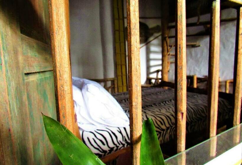 اتاق استاندارد, Casa Tarzan