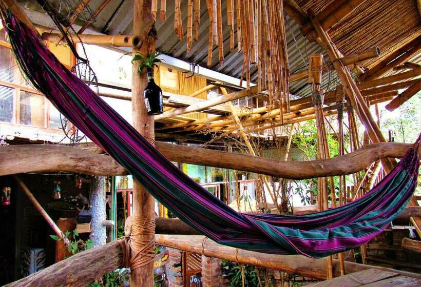 スタンダードルーム, Casa Tarzan