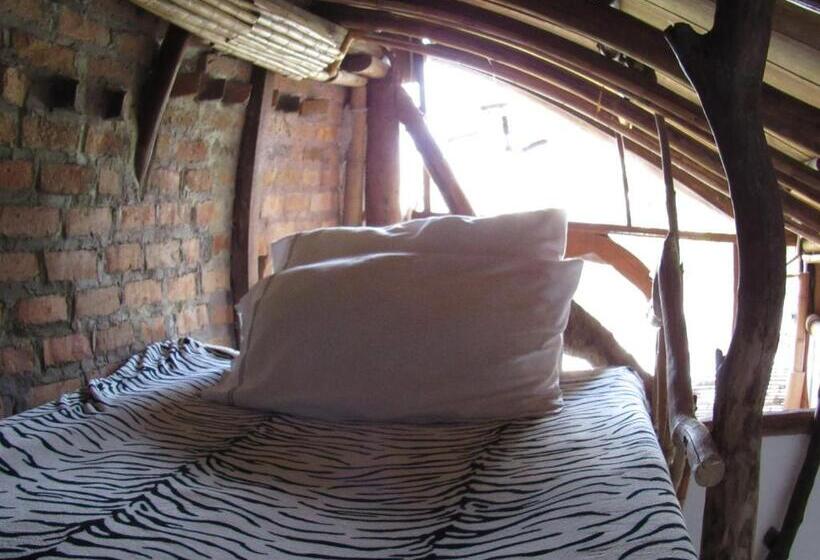 スタンダードトリプルルーム, Casa Tarzan