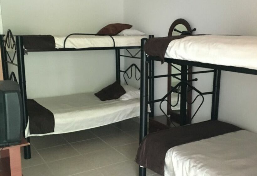 חדר סטנדרט, El Coliseo