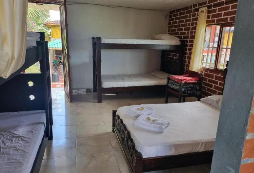 4인용 스탠다드 룸, Eco Hotel La Selecta Campestre