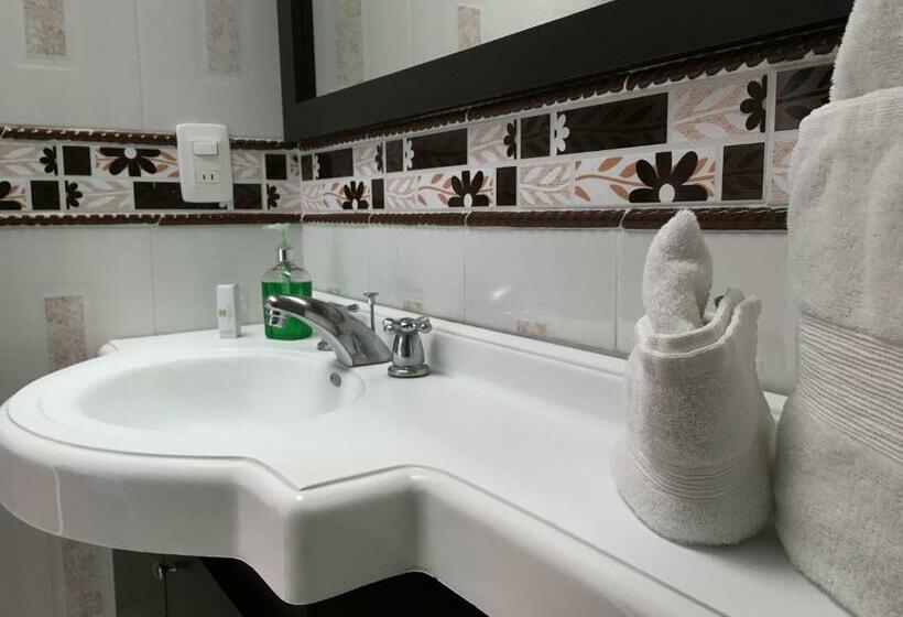 スタンダードルーム, Regine S Manizales