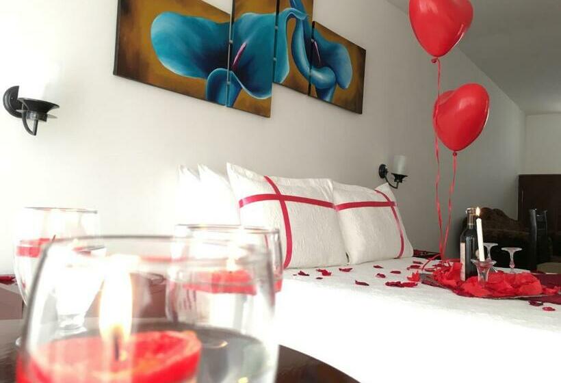 スタンダードルーム, Regine S Manizales