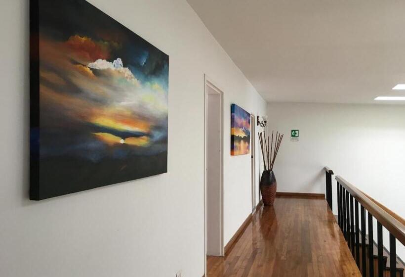 スタンダードルーム, Regine S Manizales