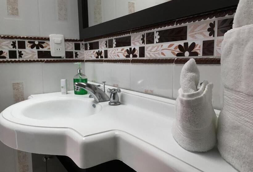 スタンダードシングルルーム, Regine S Manizales