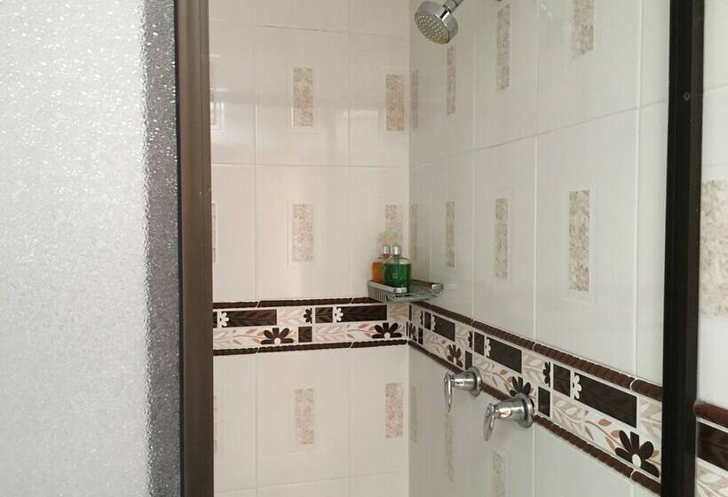 スタンダードルーム, Regine S Manizales