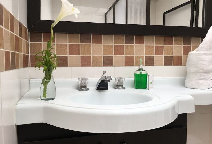 スタンダードトリプルルーム, Regine S Manizales