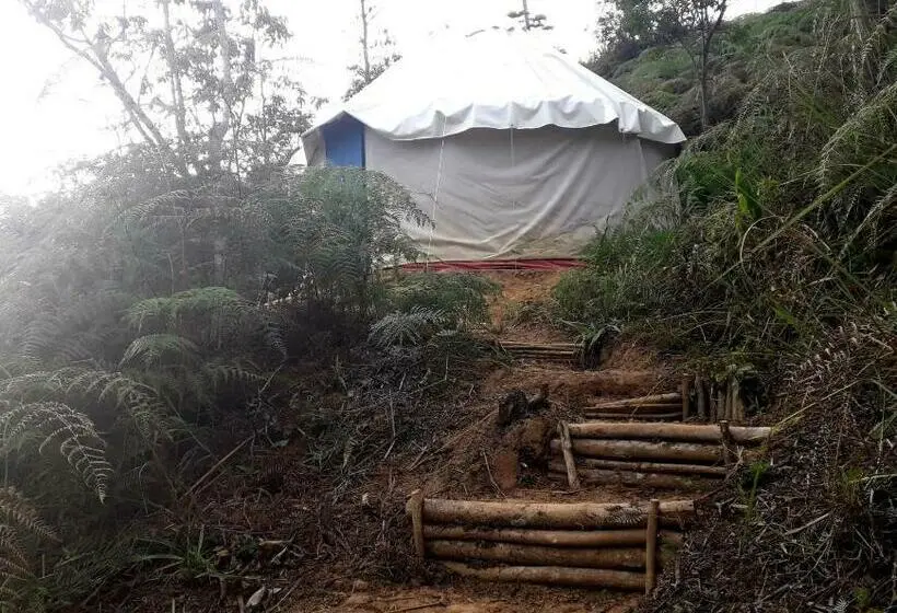 Standard-huone, La Pacha Hostel