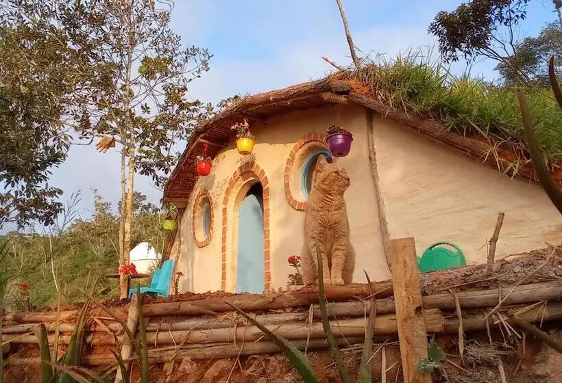 Deluxe-perhehuone, La Pacha Hostel