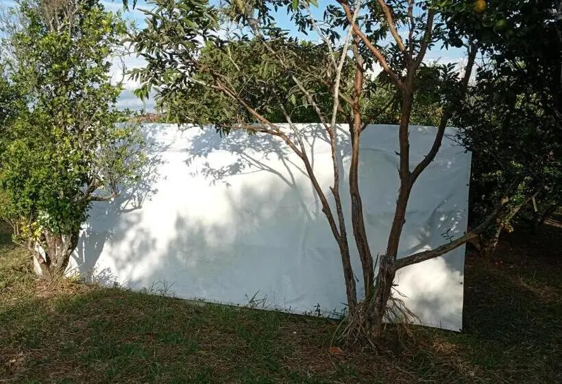 Standard Tent, La Pacha Hostel