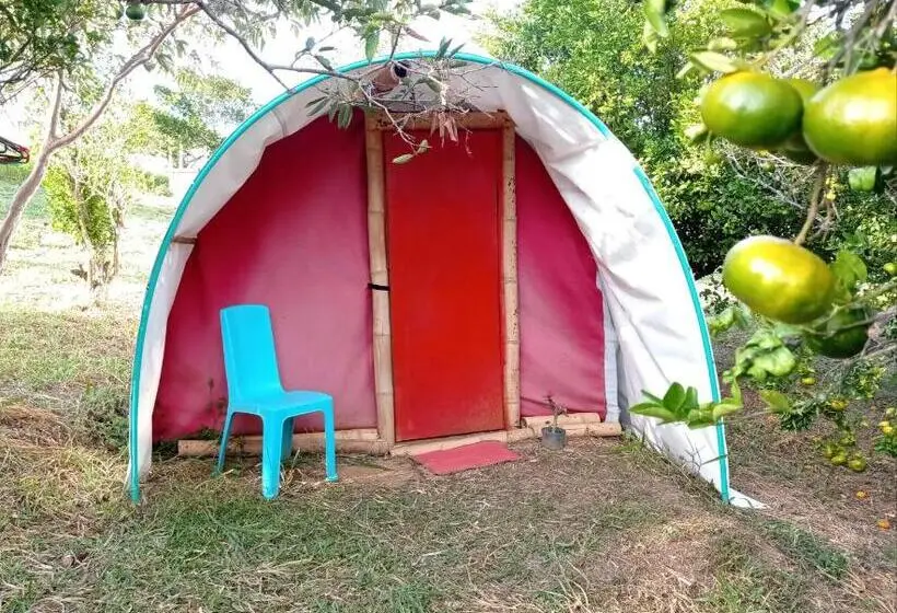 Standard Tent, La Pacha Hostel