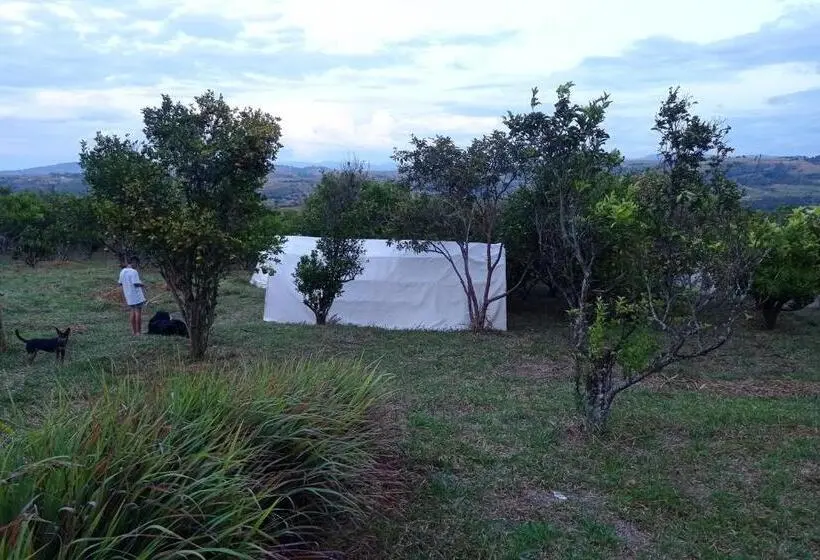 Standard Tent, La Pacha Hostel