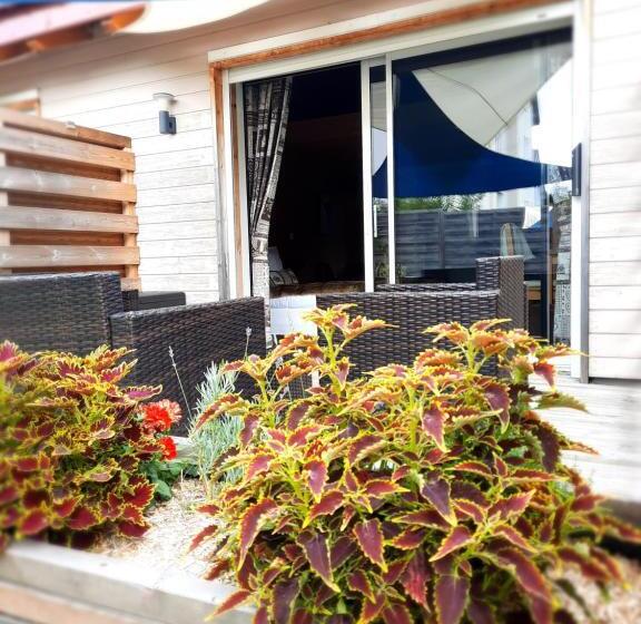 Номер Стандарт с Террасой, Au Cœur Des Lacs Chambres D Hôtes