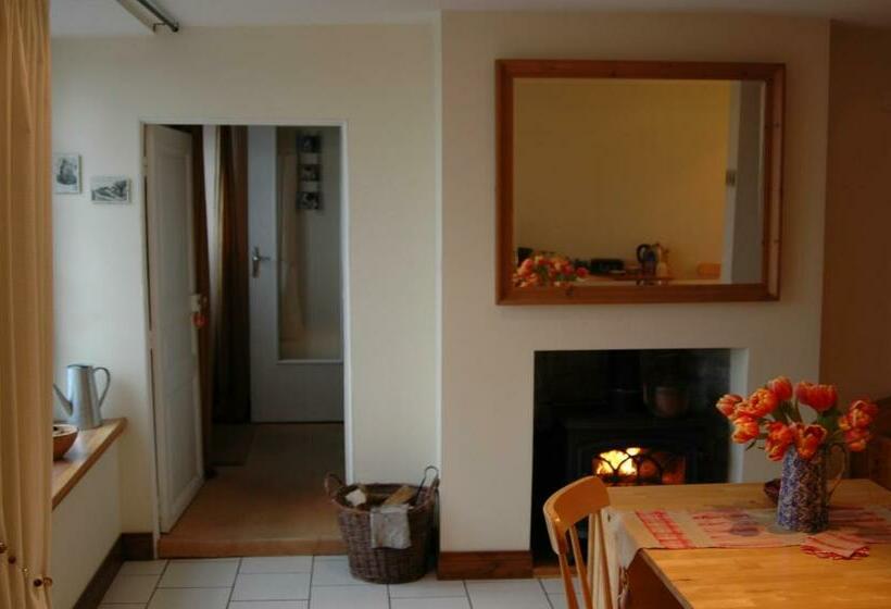 标准单人间, Domfront Numero Cinq