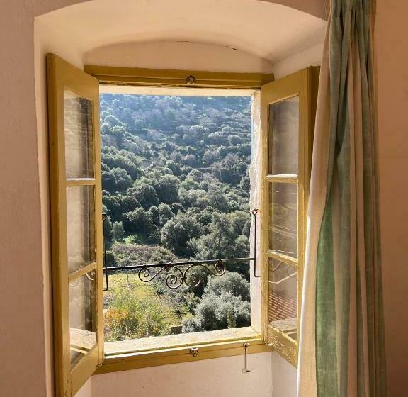 اتاق خانوادگی با چشم‌انداز کوه, Casa Musicale