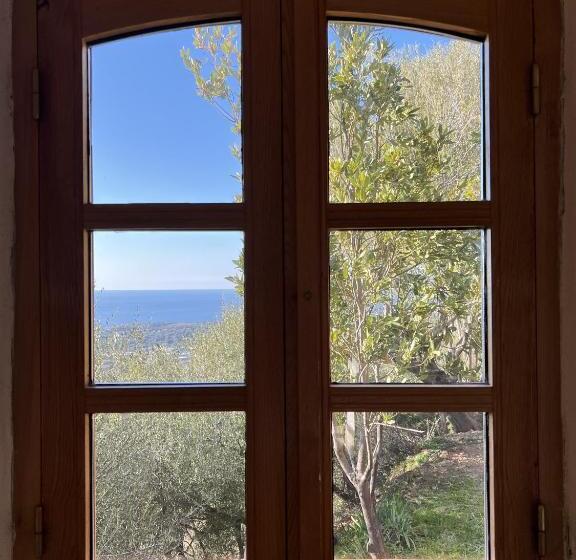 اتاق سوپریور با چشم‌انداز دریا, Casa Musicale