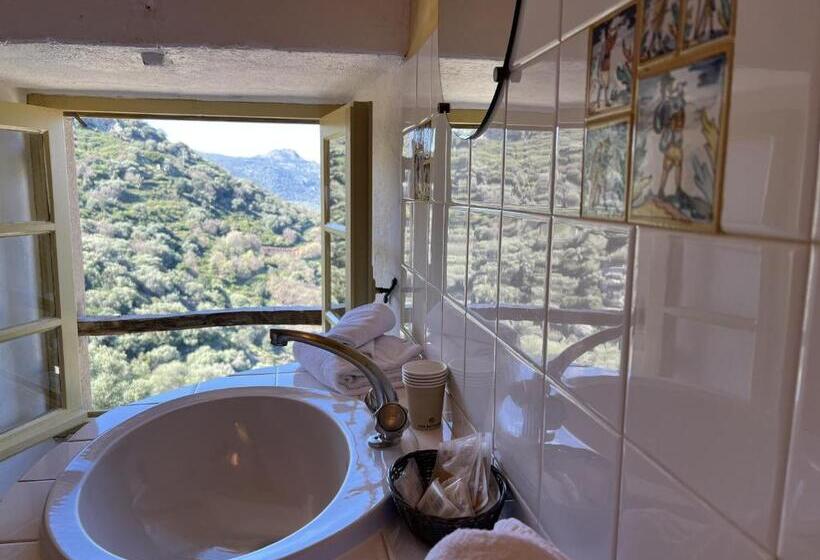 اتاق استاندارد, Casa Musicale