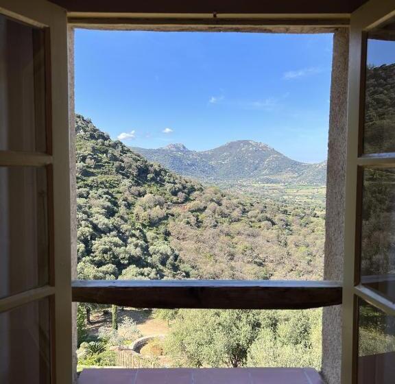 اتاق استاندارد, Casa Musicale