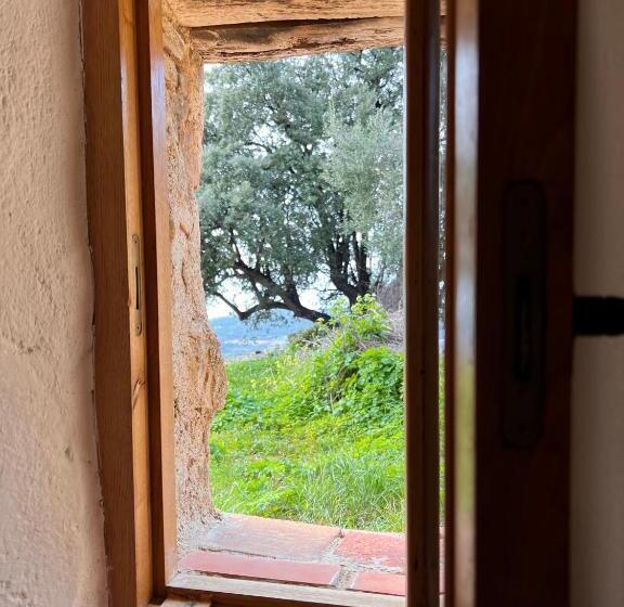 اتاق استاندارد با چشم‌انداز دریا, Casa Musicale