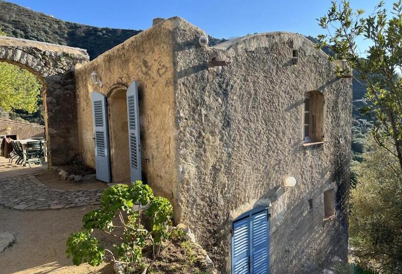 اتاق سوپریور با چشم‌انداز دریا, Casa Musicale