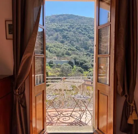 آپارتمان 1 خوابه با تراس, Casa Musicale