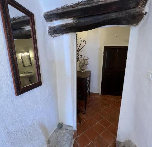 اتاق استاندارد, Casa Musicale