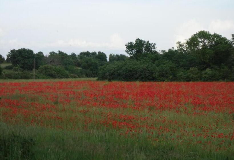 Люкс, Auberge De La Fontaine