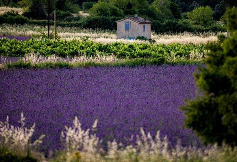 Апартаменты 2 Спальни, Auberge De La Fontaine
